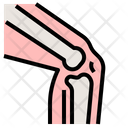 پیش‌نمایش فایل bone-examination-2111080 از پک سلامتی و پزشکی