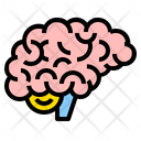 پیش‌نمایش فایل brain-2111099 از پک سلامتی و پزشکی