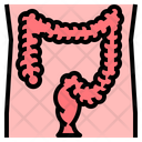 پیش‌نمایش فایل colon-2111113 از پک سلامتی و پزشکی
