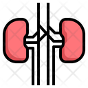 پیش‌نمایش فایل kidney-2111102 از پک سلامتی و پزشکی