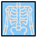 پیش‌نمایش فایل xray-2111114 از پک سلامتی و پزشکی