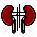 پیش‌نمایش فایل kidney-2213449 از پک بیمارستان