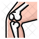 پیش‌نمایش فایل knee-xray-2213459 از پک بیمارستان