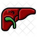 پیش‌نمایش فایل liver-2213456 از پک بیمارستان