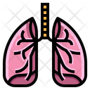پیش‌نمایش فایل lungs-2213462 از پک بیمارستان