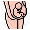 پیش‌نمایش فایل pregnancy-2213472 از پک بیمارستان