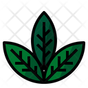 پیش‌نمایش فایل herb-leaf-2214127 از پک رستوران