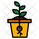 پیش‌نمایش فایل seed-growth-2213211 از پک مزرعه