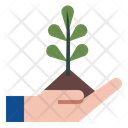 پیش‌نمایش فایل care-plant-2213205 از پک مزرعه