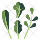 پیش‌نمایش فایل leaf-2213187 از پک مزرعه