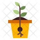 پیش‌نمایش فایل seed-growth-2213175 از پک مزرعه