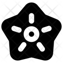 پیش‌نمایش فایل starfish-5528199 از پک سفر