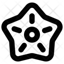پیش‌نمایش فایل starfish-5526838 از پک سفر