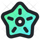 پیش‌نمایش فایل starfish-5532537 از پک سفر