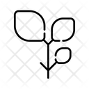 پیش‌نمایش فایل leaf-3841273 از پک اکتبرفست