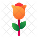 پیش‌نمایش فایل flower-7573312 از پک ولنتاین کامل