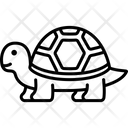پیش‌نمایش فایل turtle-6163554 از پک دوستان پشمالو