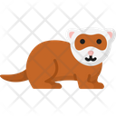 پیش‌نمایش فایل ferret-6163383 از پک دوستان پشمالو