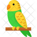 پیش‌نمایش فایل parakeet-6163399 از پک دوستان پشمالو
