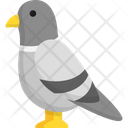 پیش‌نمایش فایل pigeon-6163411 از پک دوستان پشمالو