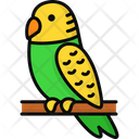 پیش‌نمایش فایل parakeet-6163253 از پک دوستان پشمالو