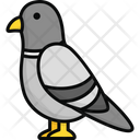 پیش‌نمایش فایل pigeon-6163265 از پک دوستان پشمالو