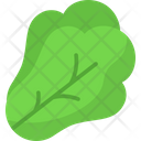 پیش‌نمایش فایل lettuce-6742116 از پک رژیم وگان