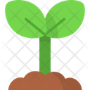 پیش‌نمایش فایل sprout-6742134 از پک رژیم وگان