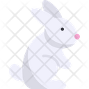 پیش‌نمایش فایل bunny-8679630 از پک فصل بهار