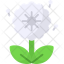 پیش‌نمایش فایل dandelion-8679637 از پک فصل بهار
