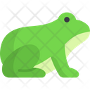 پیش‌نمایش فایل frog-8679642 از پک فصل بهار