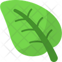 پیش‌نمایش فایل leaf-8679651 از پک فصل بهار