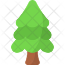 پیش‌نمایش فایل pine-tree-8679658 از پک فصل بهار