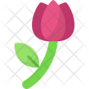 پیش‌نمایش فایل tulip-8679671 از پک فصل بهار
