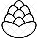 پیش‌نمایش فایل pinecone-10616559 از پک زمان هایگه