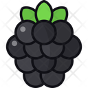 پیش‌نمایش فایل blackberry-11089555 از پک میوه ها
