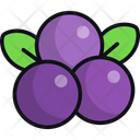 پیش‌نمایش فایل blueberry-11089557 از پک میوه ها