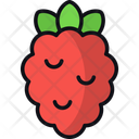 پیش‌نمایش فایل raspberry-11089542 از پک میوه ها