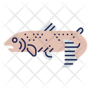 پیش‌نمایش فایل salmon-11588515 از پک زیر آب