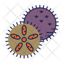 پیش‌نمایش فایل sea-urchin-11588519 از پک زیر آب