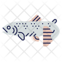پیش‌نمایش فایل trout-11588523 از پک زیر آب