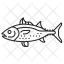 پیش‌نمایش فایل tuna-11588564 از پک زیر آب