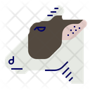 پیش‌نمایش فایل cow-11592619 از پک گوشت و تخم مرغ