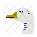 پیش‌نمایش فایل goose-11592622 از پک گوشت و تخم مرغ