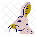پیش‌نمایش فایل hare-11592624 از پک گوشت و تخم مرغ
