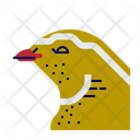 پیش‌نمایش فایل quail-11592631 از پک گوشت و تخم مرغ