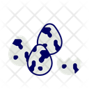 پیش‌نمایش فایل quail-eggs-11592630 از پک گوشت و تخم مرغ