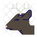 پیش‌نمایش فایل roe-deer-11592633 از پک گوشت و تخم مرغ