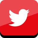 پیش‌نمایش فایل twitter-29 از پک رسانه های اجتماعی