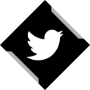 پیش‌نمایش فایل twitter-93 از پک مکعب شبکه های اجتماعی